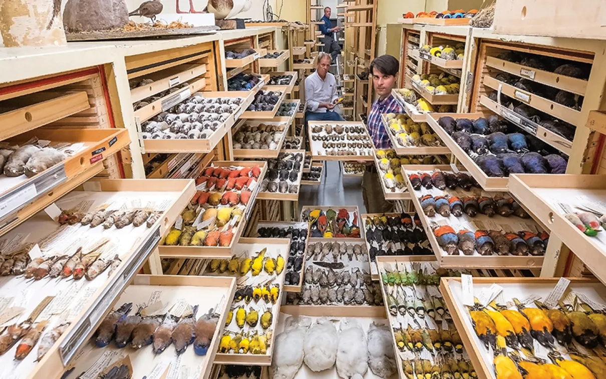 The Largest Bird Collection in Canada