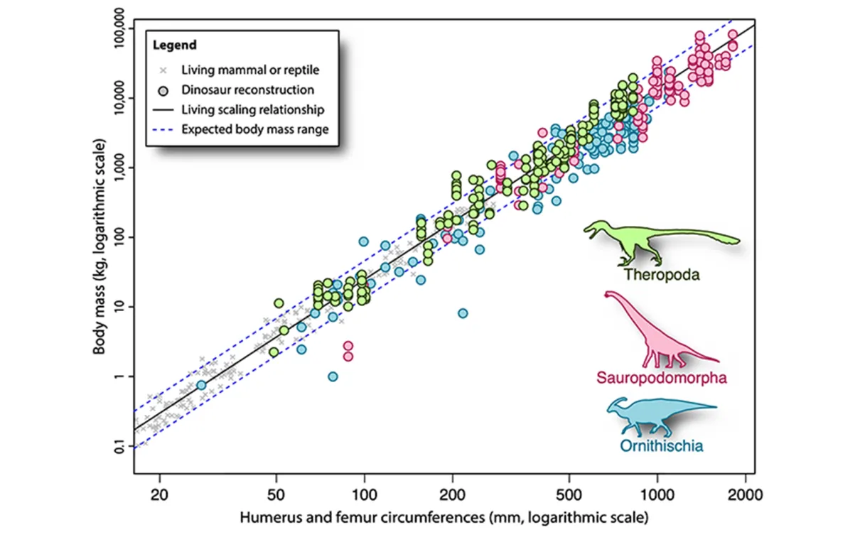 Dinosaur life reconstruction masses projected onto the limb circumference to body mass scaling relationship of living mammals and reptiles.