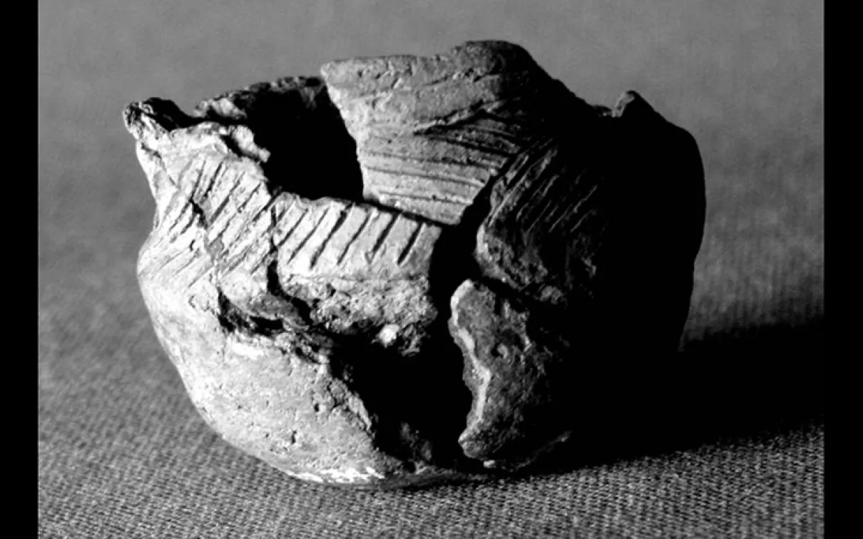 Mini pot from Toronto Underfoot 