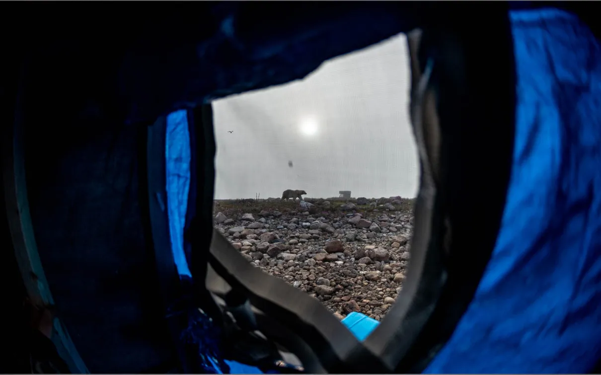 Vue de la fenêtre d'une tente.