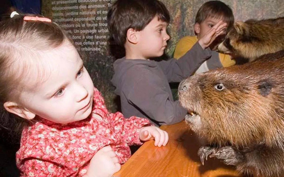 Les enfants peuvent en apprendre davantage sur les animaux qui vivent dans le monde entier et sur ceux qui se trouvent dans leur propre jardin !