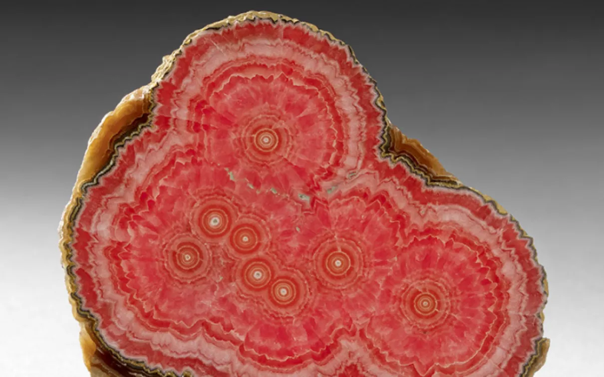 Une tranche de rhodochrosite : cercles concentriques rouges et blancs
