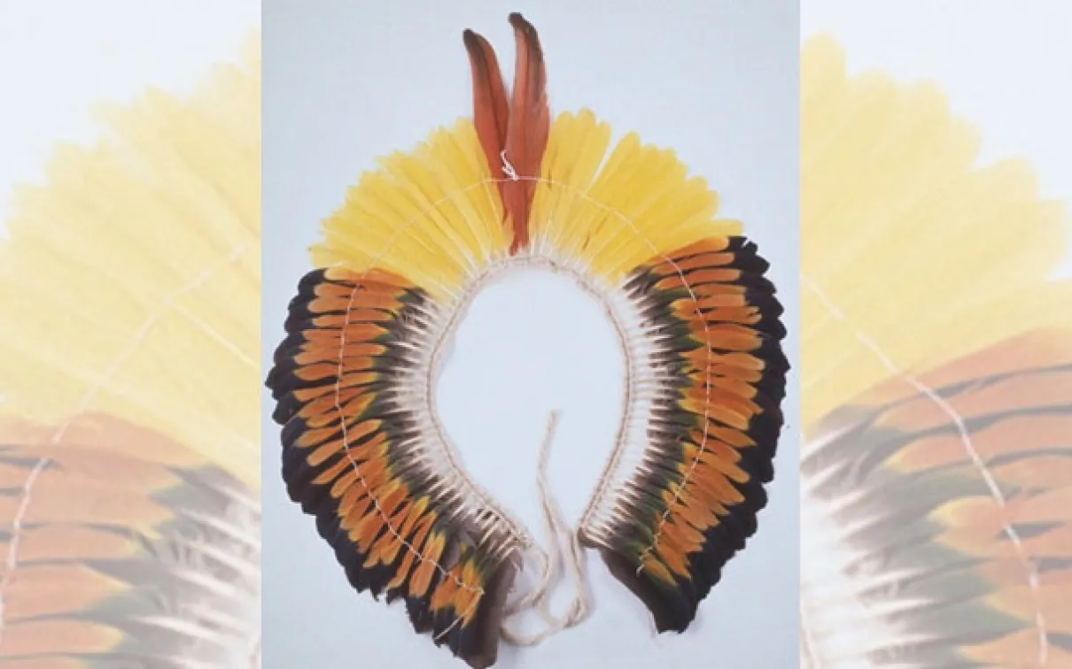 Shreyas et Mina Ajmera Gallery of Africa, The Americas, and Asia-Pacific, La forêt amazonienne abrite peut-être des centaines de peuples indigènes distincts depuis des milliers d'années. Ces peuples partagent une vie cérémonielle riche et élaborée. Cette coiffe de plumes, faite de plumes de perroquet et d'ara et de lanières de palmier, provient de la culture Kayapó du Mato Grosso, au Brésil.