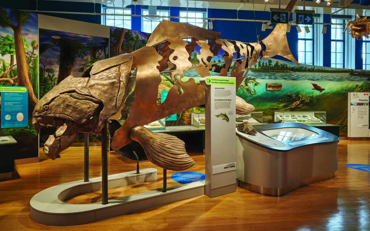 Fonte en bronze grandeur nature d'un Dunkleosteus.