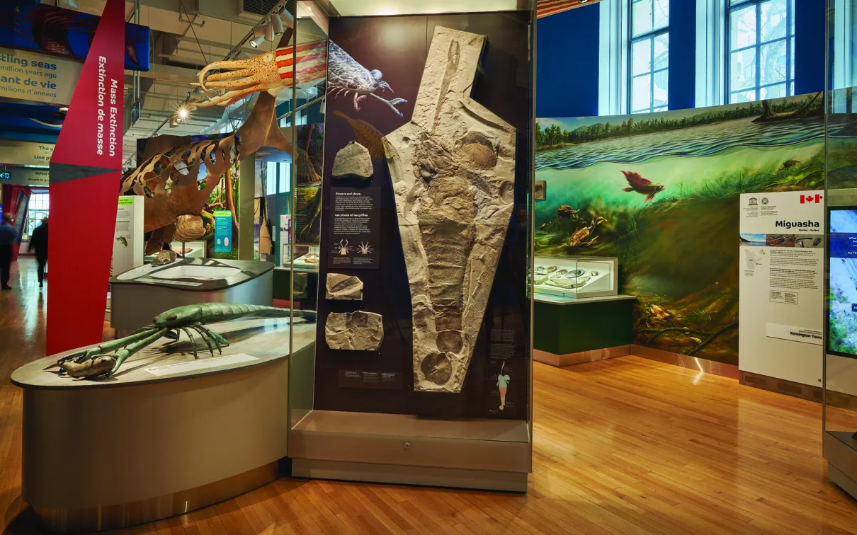 Faites l'expérience d'un voyage sans précédent à travers les merveilles du passé et explorez ce qu'elles nous apprennent sur notre présent et notre avenir.