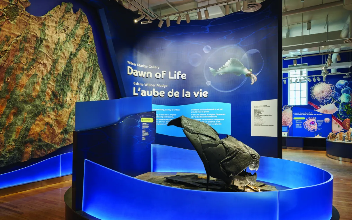 Entrée de la galerie, montrant un rocher monté sur un mur et le moulage d'un poisson préhistorique.