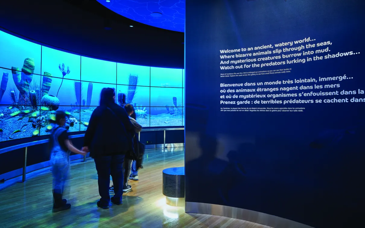 Bienvenue dans un ancien monde aquatique... où des animaux bizarres se glissent dans les mers.