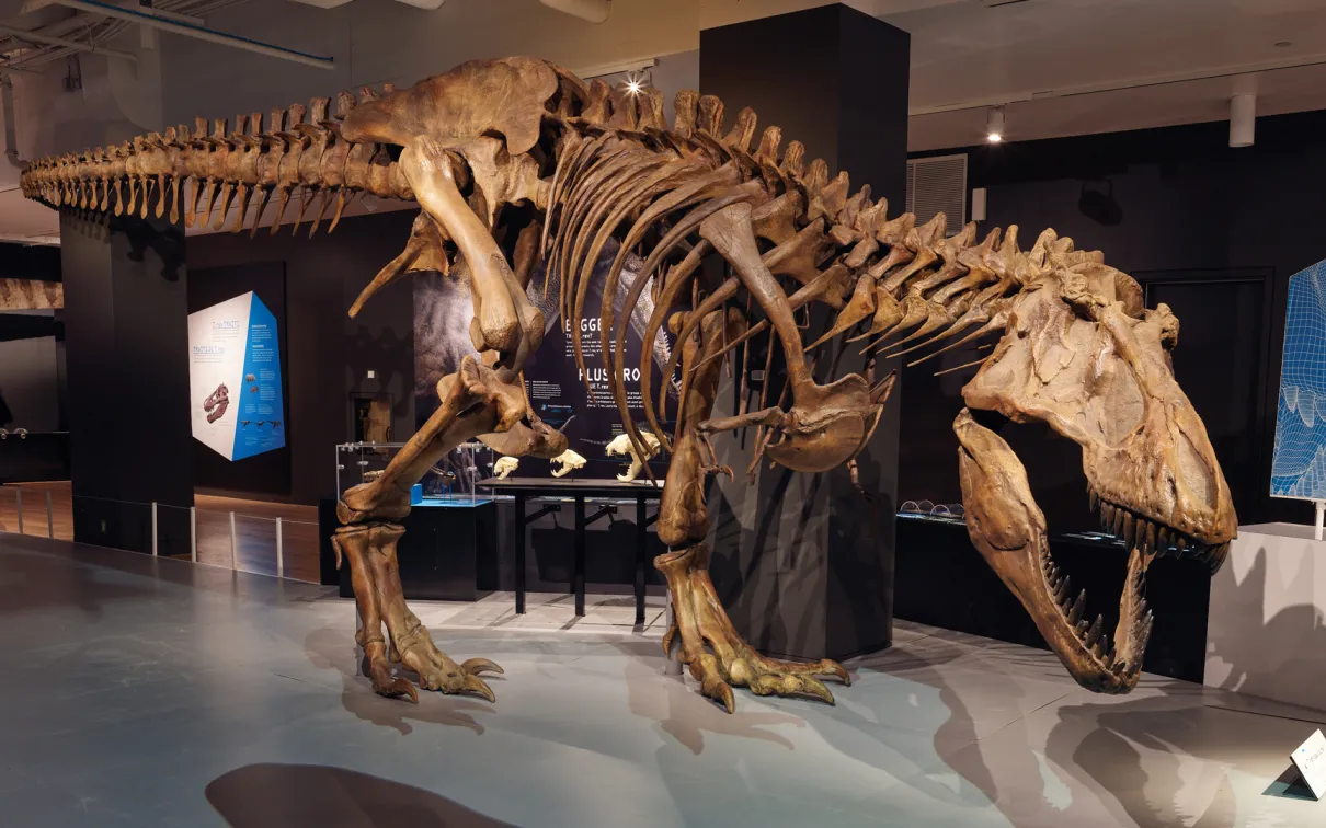 Discover new and surprising facts about T. rex.
