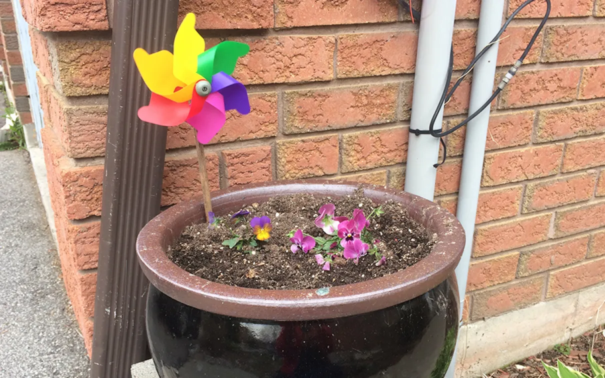 Potted flowers in front of a brick wall, with a rainbow pinwheel stuck in the pot's dirt.
