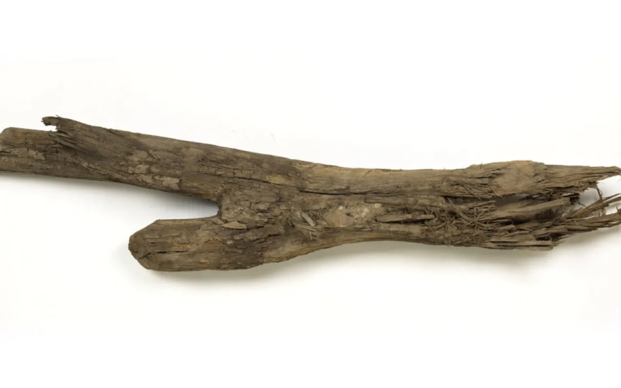 Piece of forked wood.