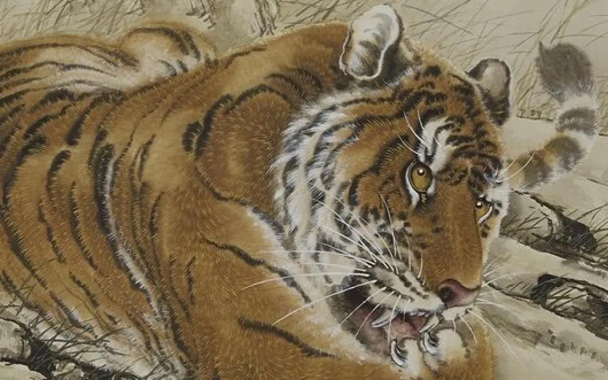 A photo of a tiger
