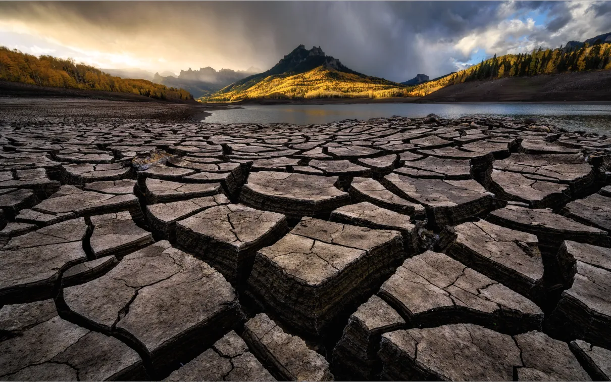 Photographe de la vie sauvage de l'année 2020