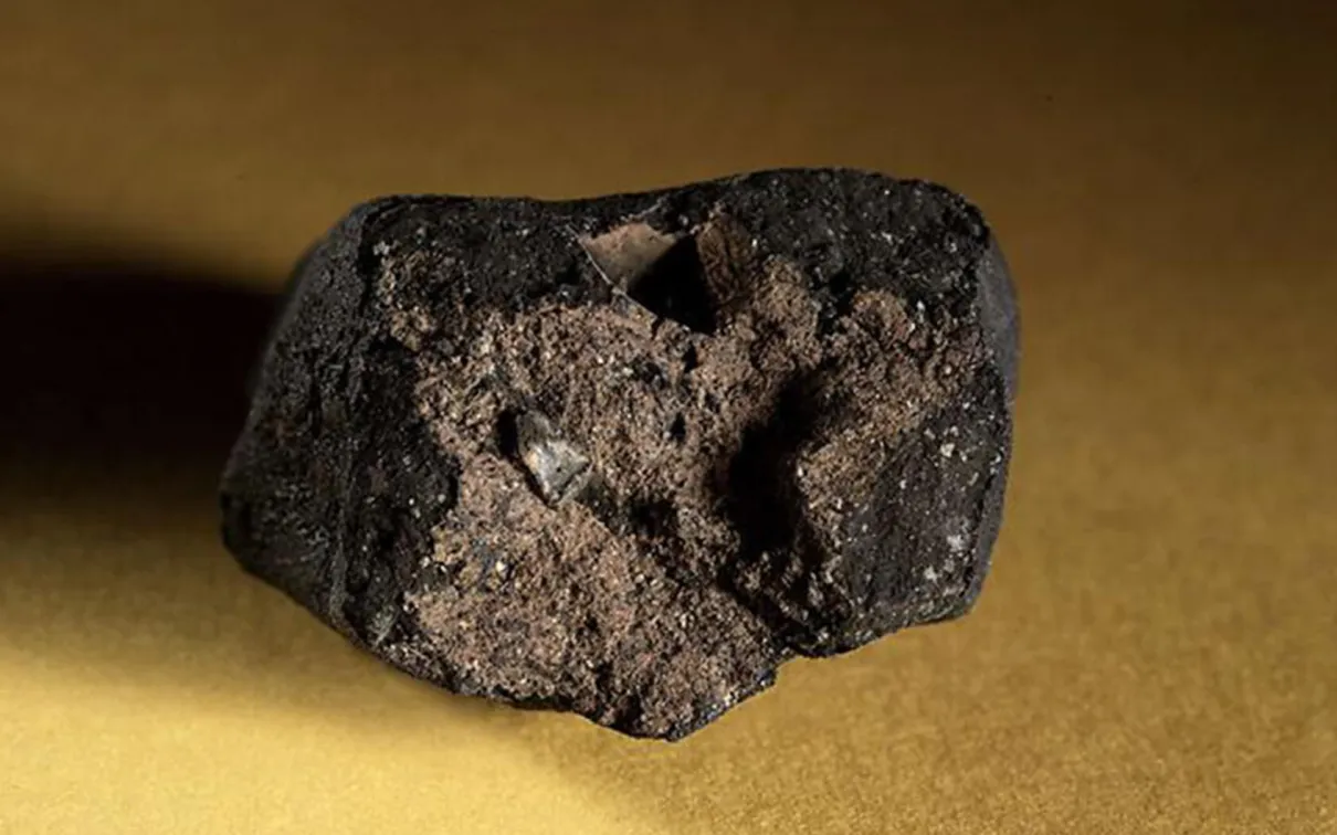 Tagish Lake meteorite.