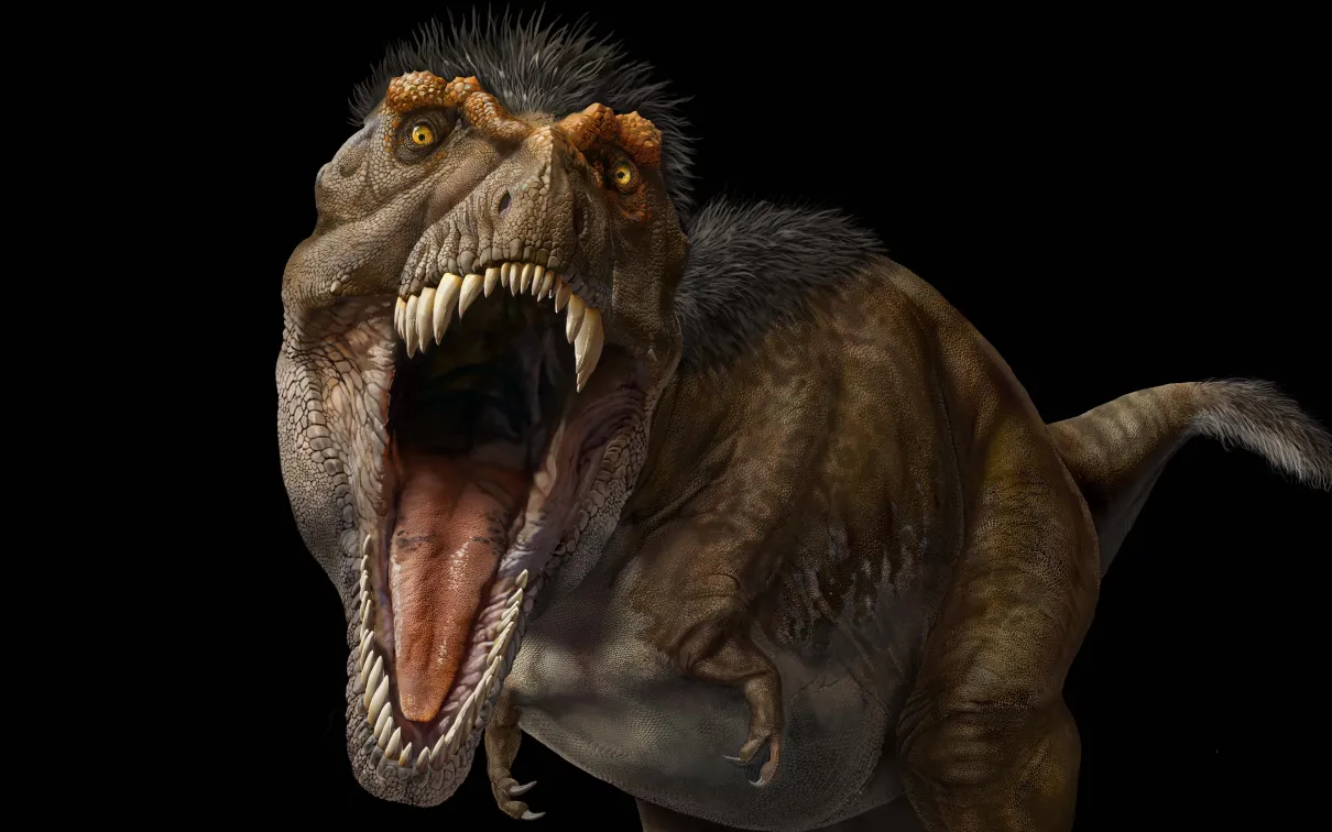 Front facing illustration of an adult T. rex with jaws open.