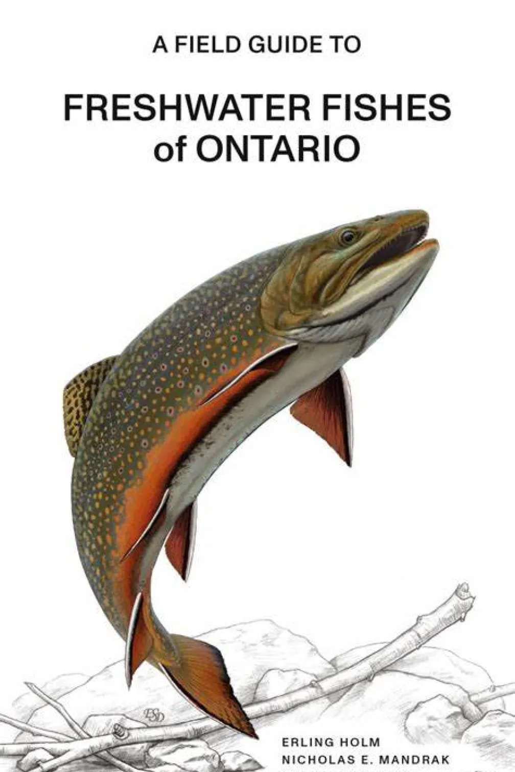  Guide de terrain pour les poissons d'eau douce de l'Ontario.