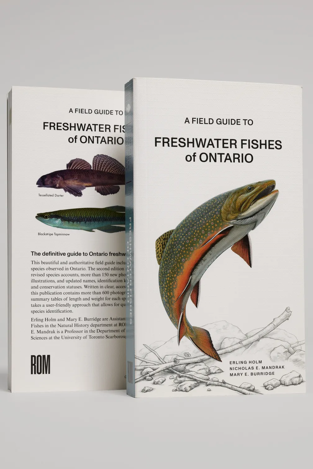 A guide to Freshwater fish species in Ontario