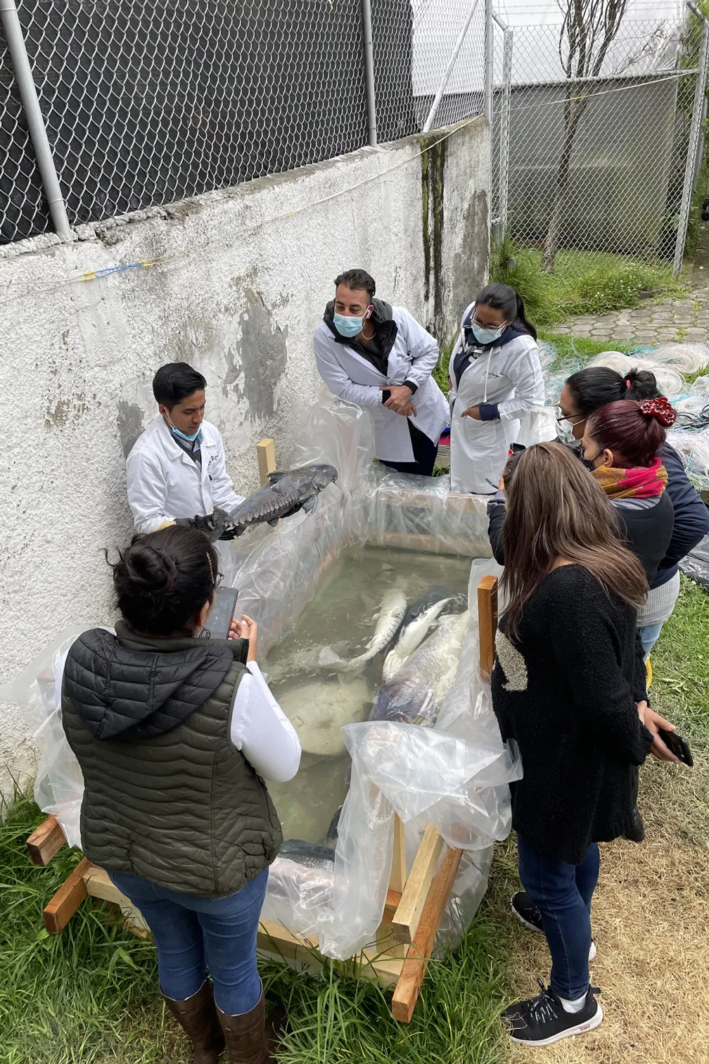 Team of scientists inspecting a fish