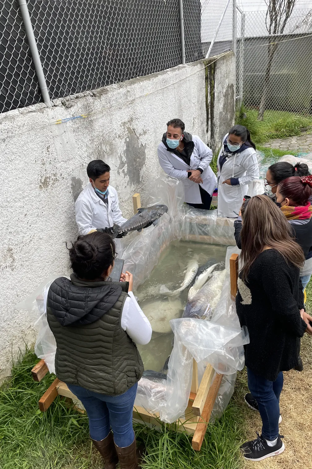 Team of scientists inspecting a fish