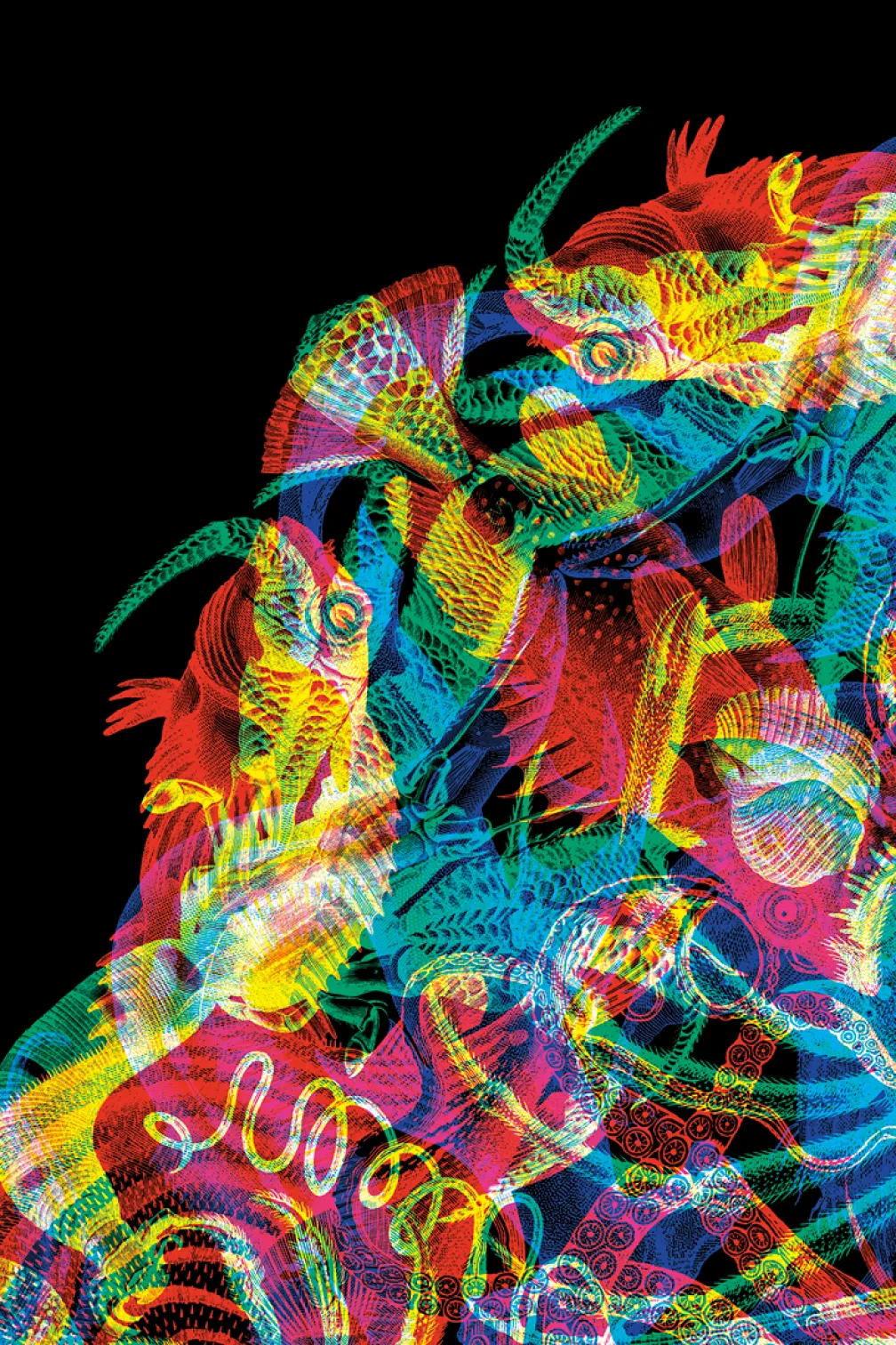 Kaleidoscope 