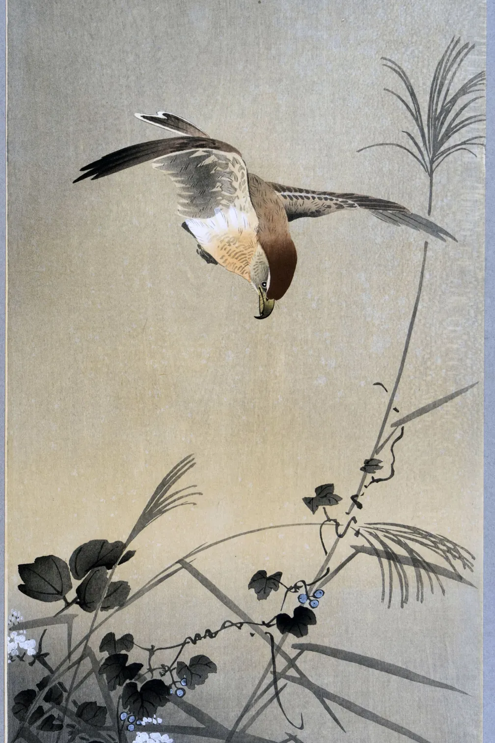 Early 20th century Shōwa Period woodblock print, “Bird and Flower” by Ohara Koson 小原古邨 (1877-1945), Tokyo, Japan, 2024.43.6. © ROM and Gift of the Estate of Shozo Uno and Edward Johnston.
