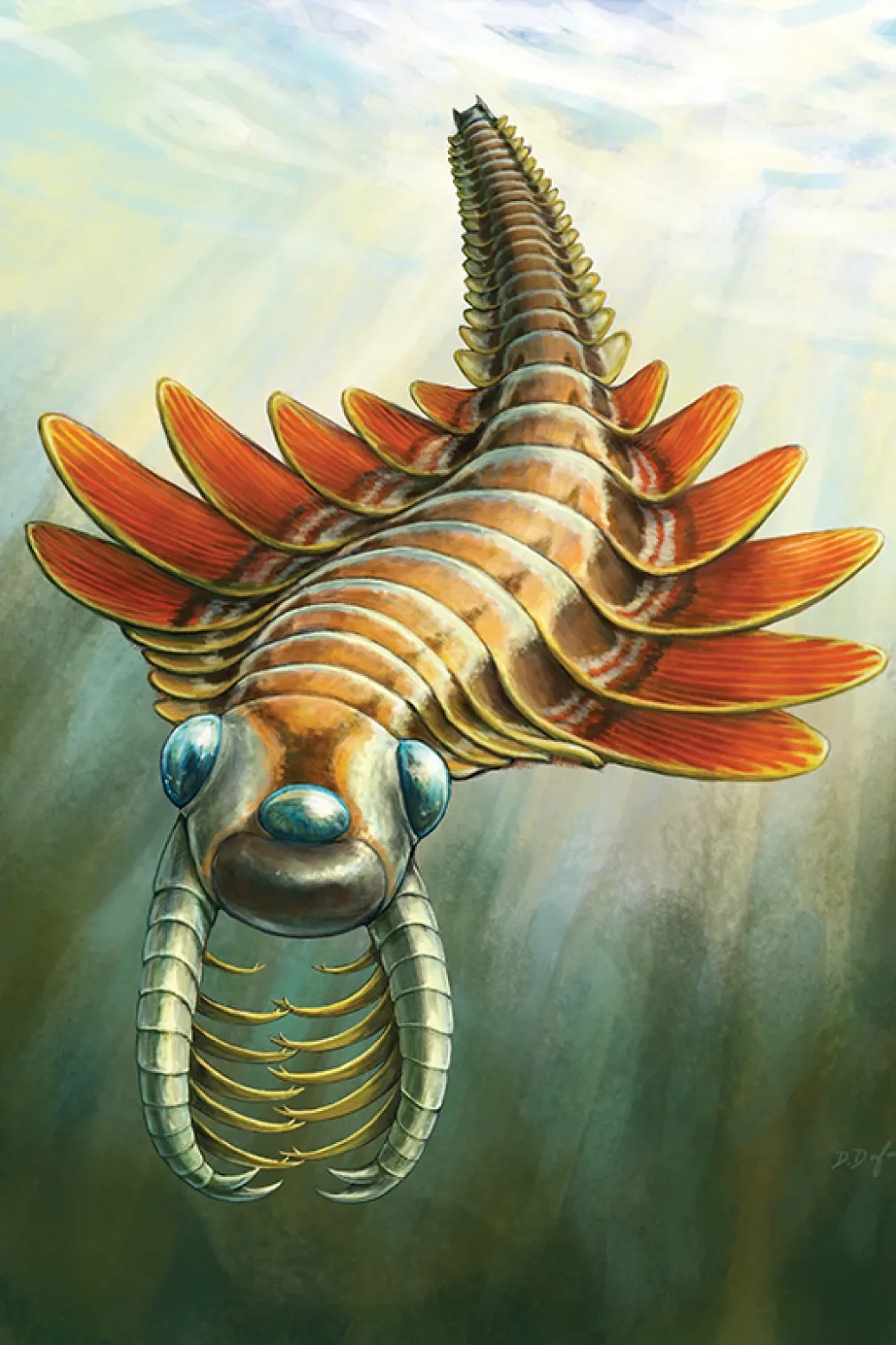 Life reconstruction of Mosura fentoni, art by Danielle Dufault © ROM