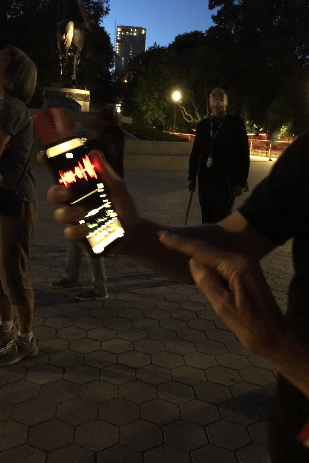 Smartphone recording the echolocation calls