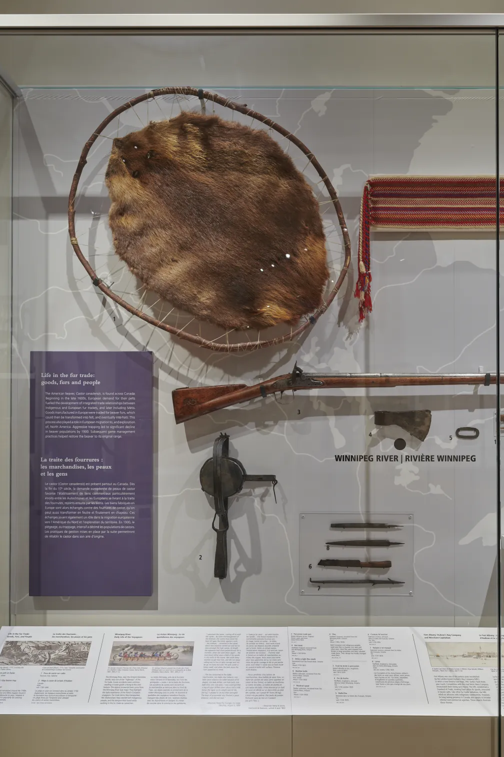 Fur displayed in casing with a hunting rifle 
