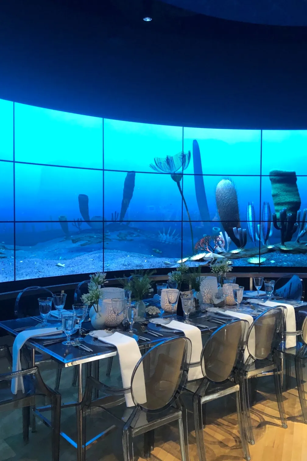 Dawn of Life Gallery at Royal Ontario Museum