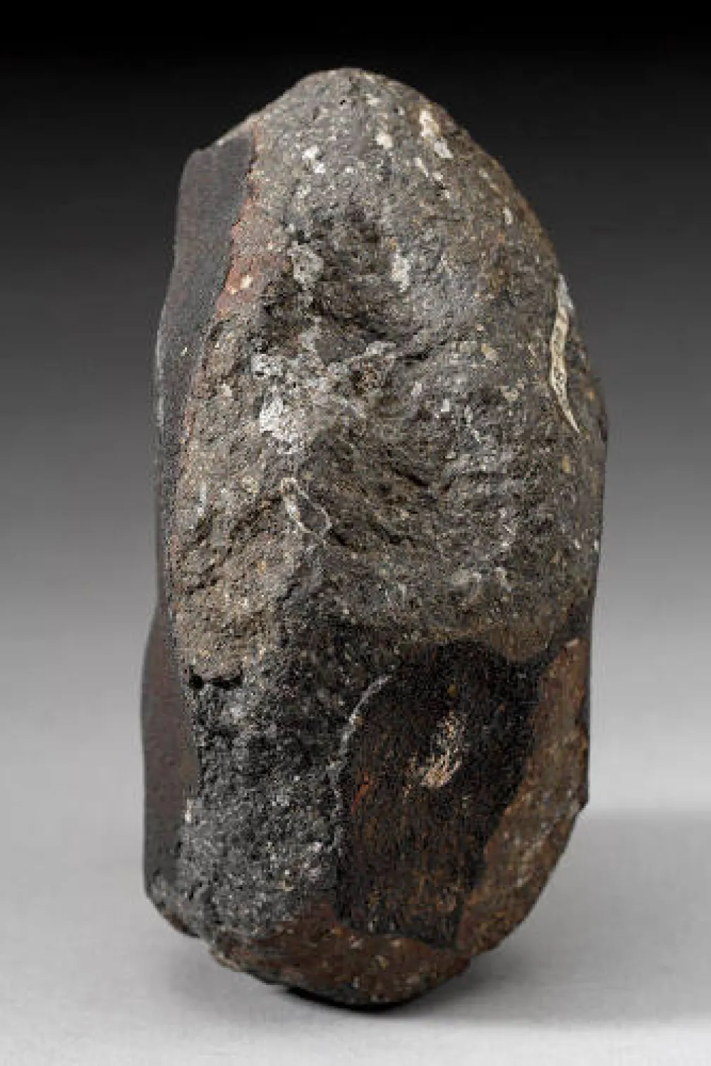 A rock that is taller than it is wide. It is dark grey with white specks, and some parts have a black crust on them.
