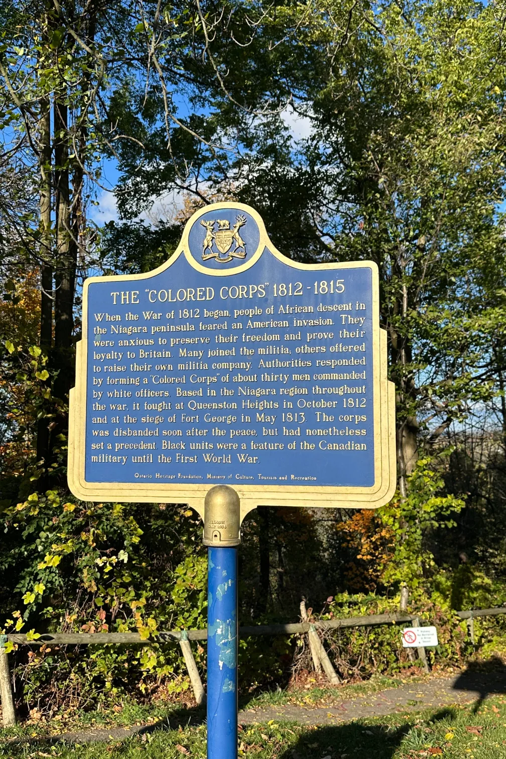 Coloured Corps Plaque, © R. Bush.