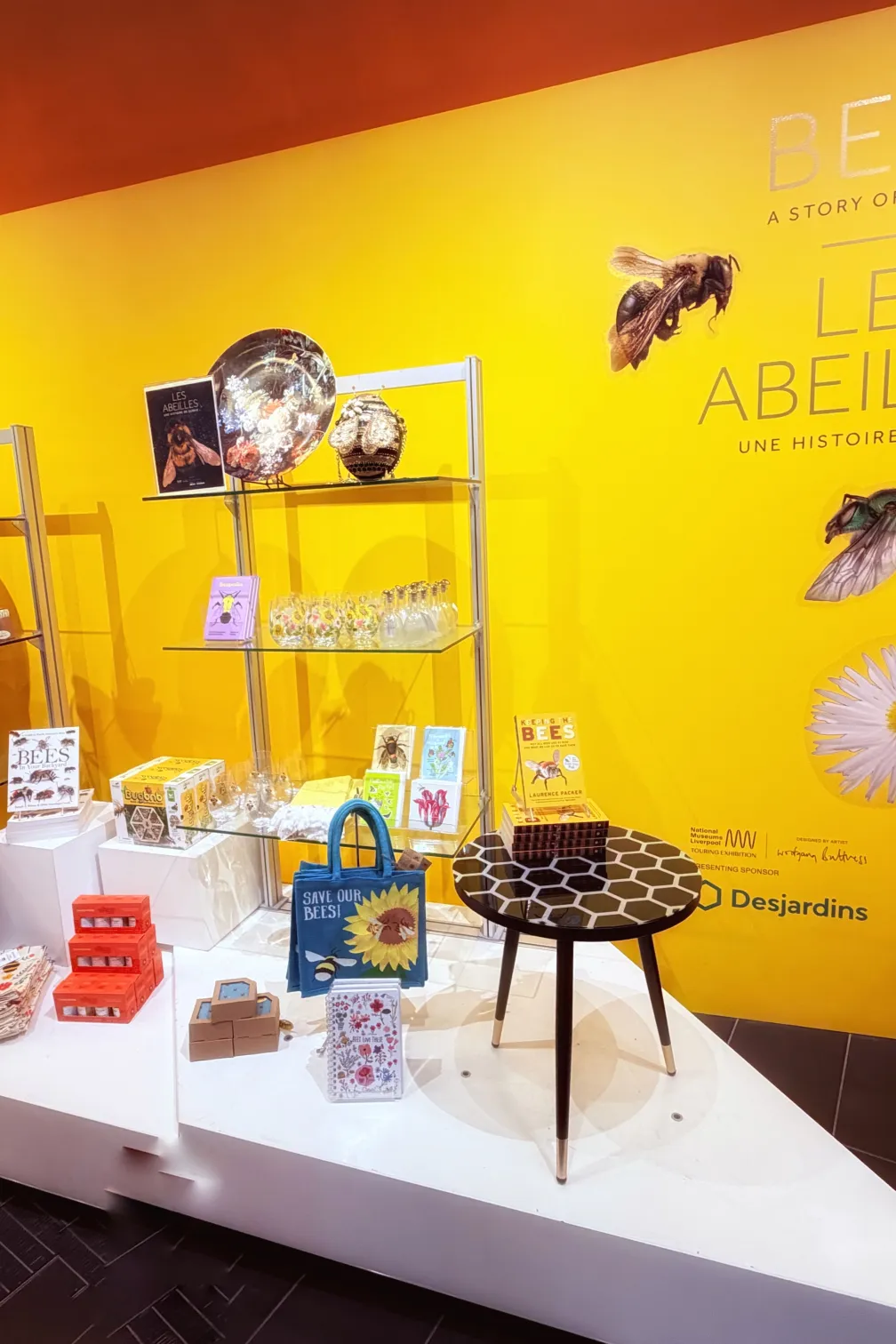 Présentoir ROM Boutique