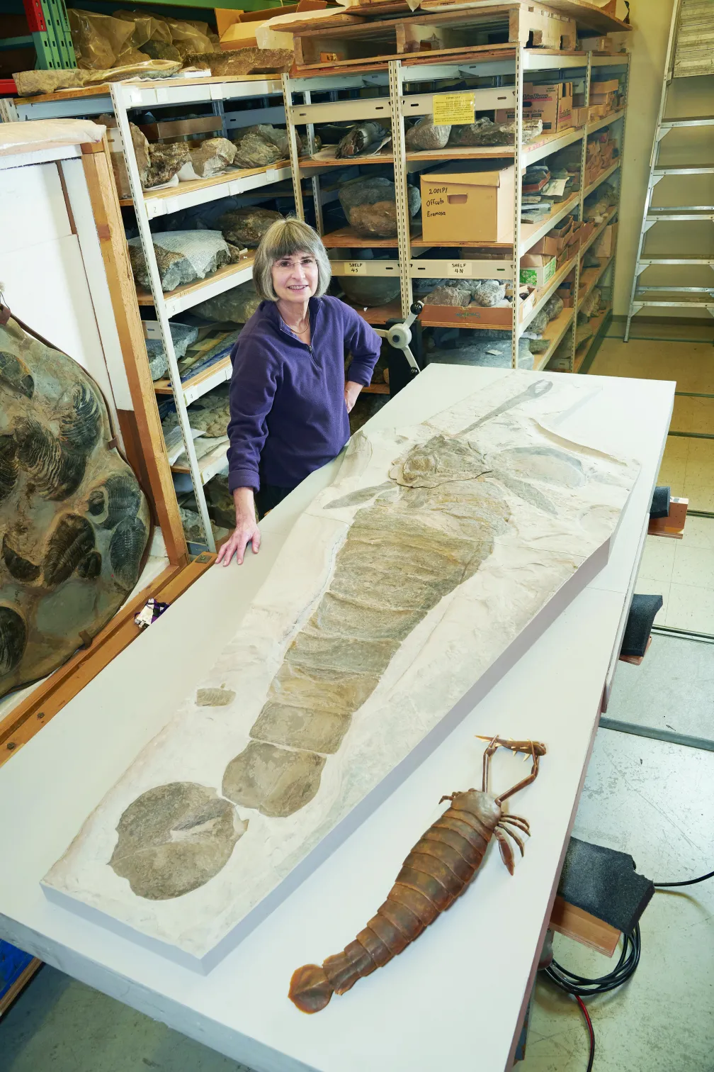 Georgia Guenther à côté de l'Acutiramus, un parent éloigné des scorpions mais qui vivait dans les mers du sud de l'Ontario et de l'État de New York il y a environ 421 millions d'années. La reconstitution de la maquette en cire de Georgia Guenther figure en bas à droite pour comparaison.