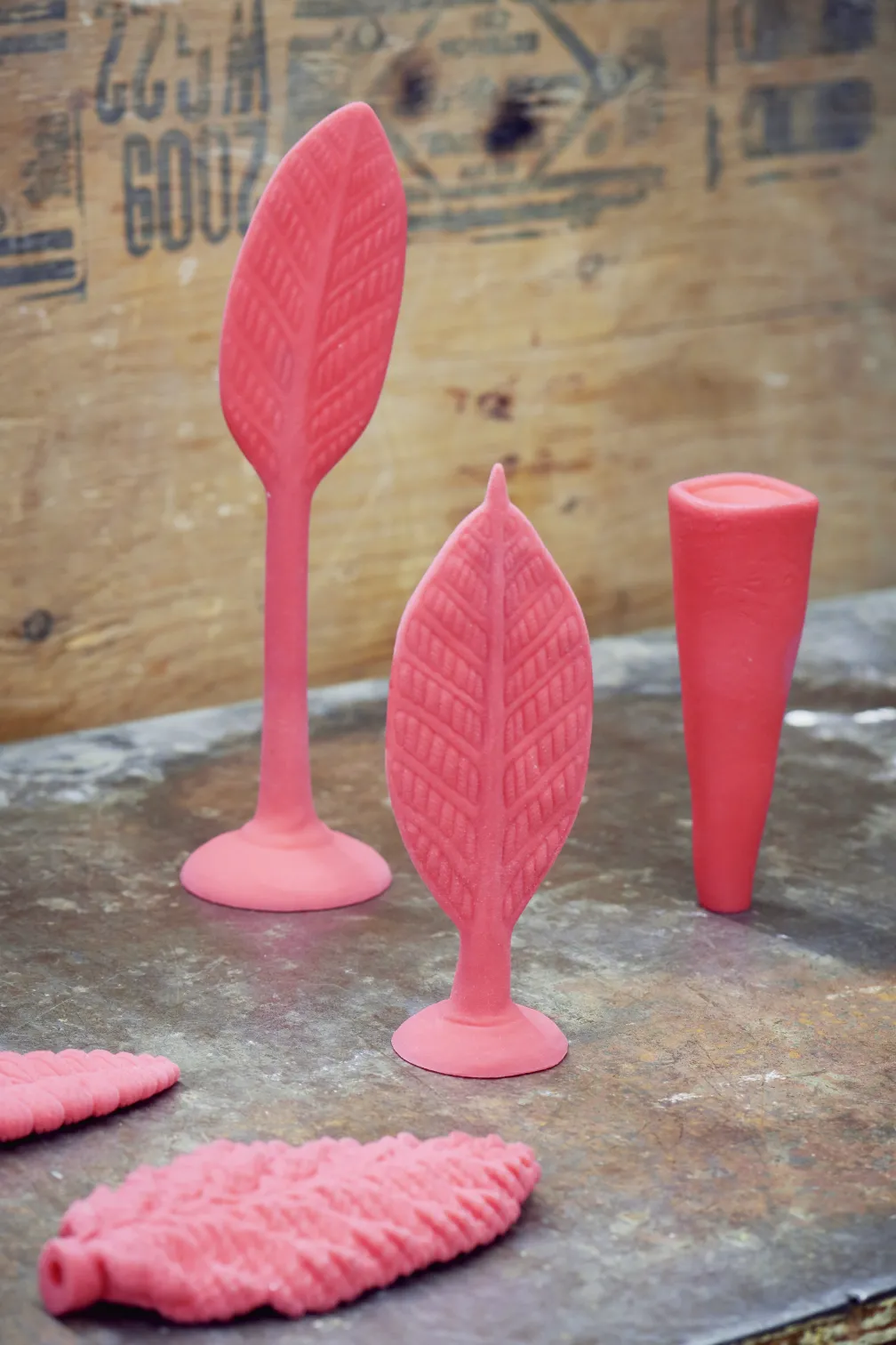 3D printed resin models of multicellular organisms