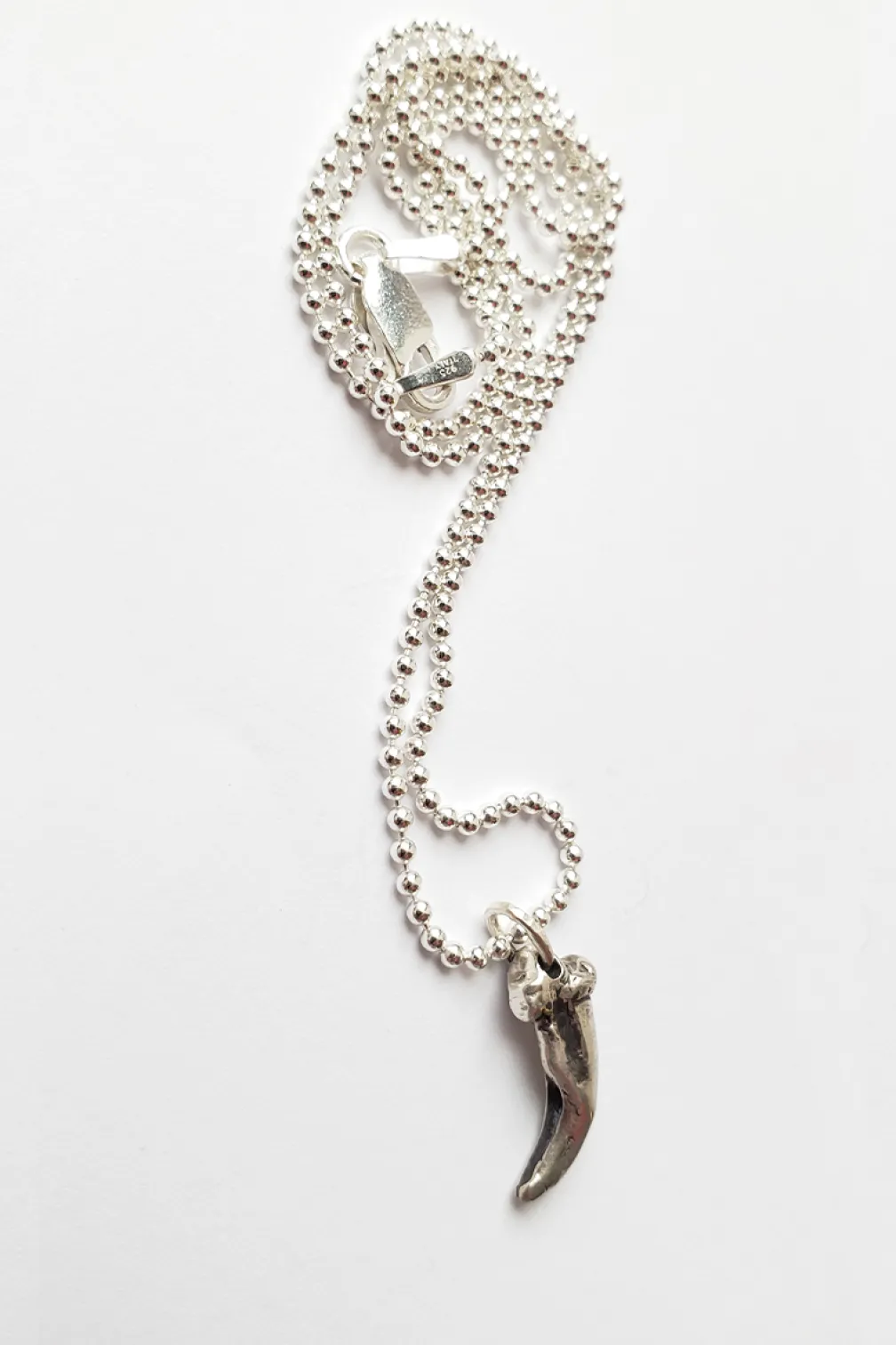 Necklace with claw at the end.