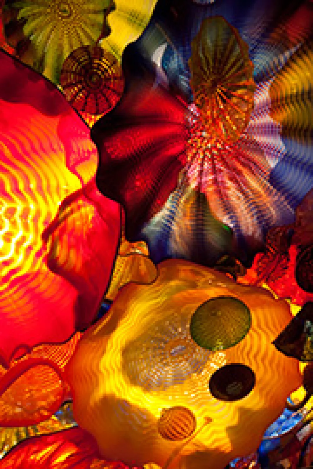 L'union de la couleur, de la lumière, de la forme et de l'espace a permis de créer des expériences magiques.