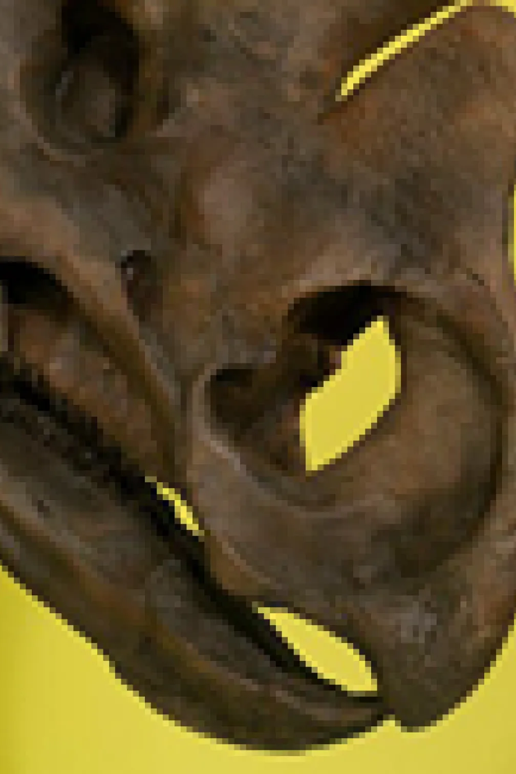 Le Wendiceratops est exposé au ROM dans le cadre de l'exposition New Dino Discovered.