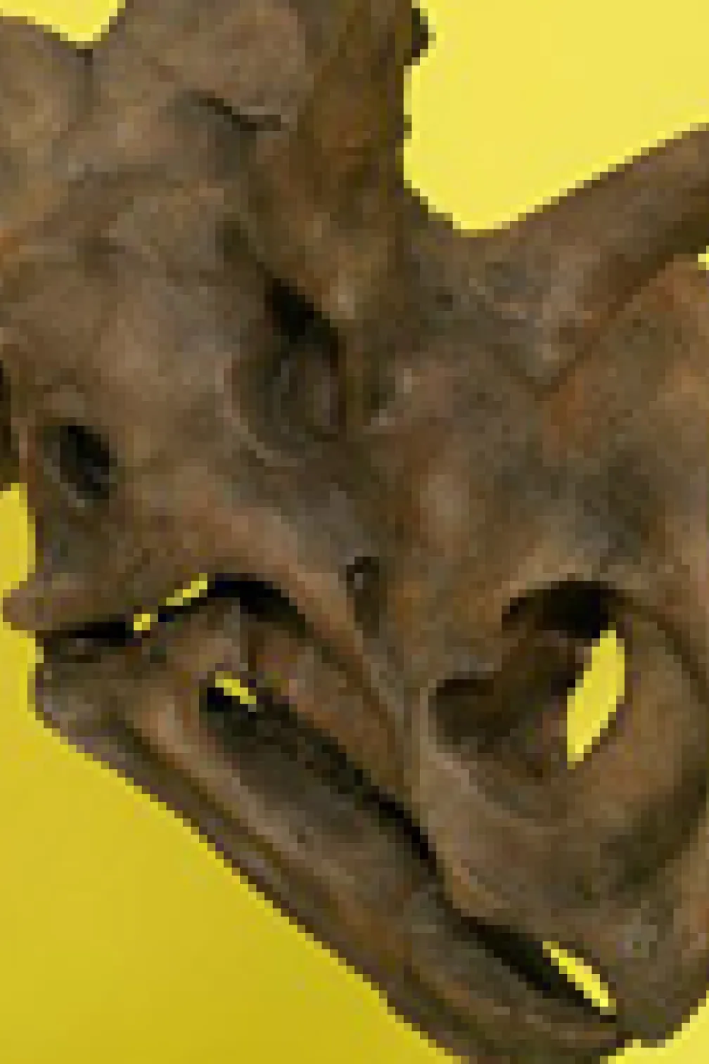 Le Wendiceratops est exposé au ROM dans le cadre de l'exposition New Dino Discovered.