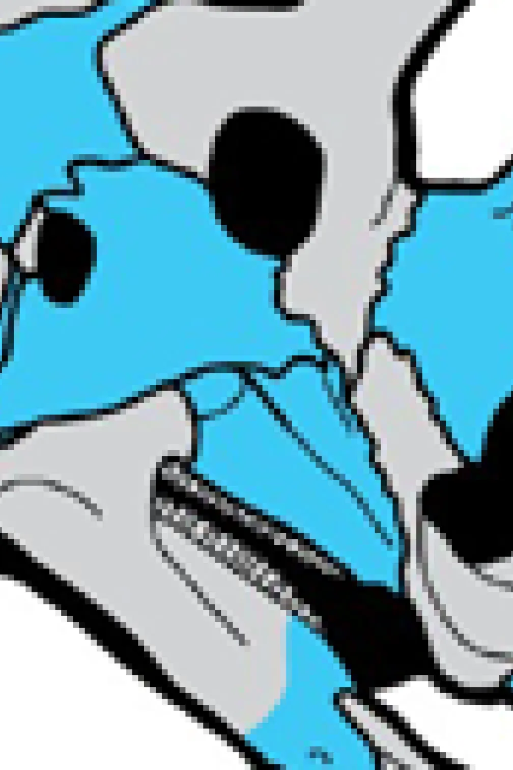 Reconstruction du squelette de Wendiceratops pinhornenis montrant en bleu les ossements trouvés à ce jour. Crédit : Danielle Dufault.