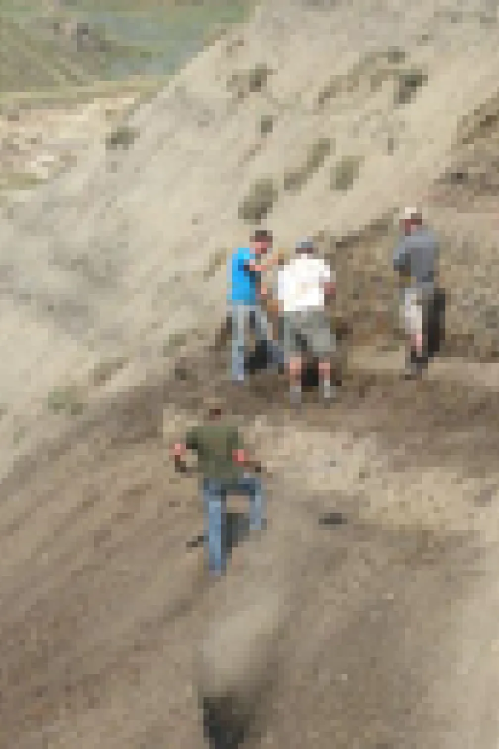 Enlèvement des tonnes de roches au-dessus de la couche d'ossements fossilifères où le nouveau dinosaure a été découvert (été 2012). Crédit : David Evans