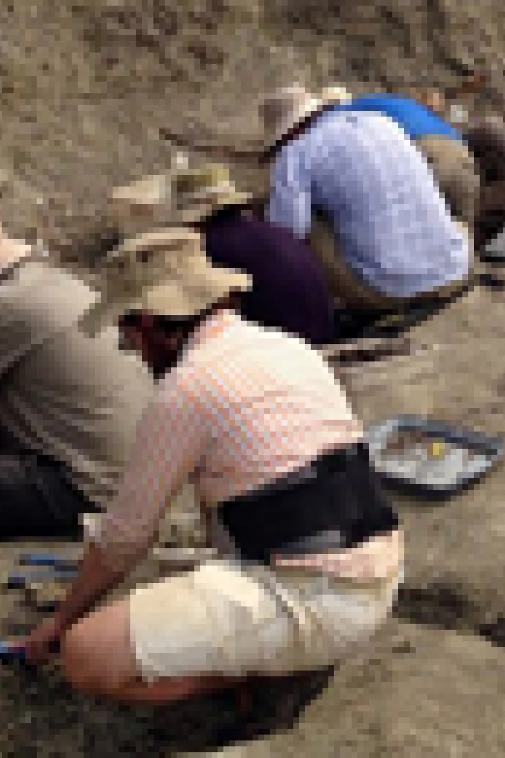 L'équipe de terrain fouille systématiquement le lit d'os de Wendiceratops. Crédit : David Evans