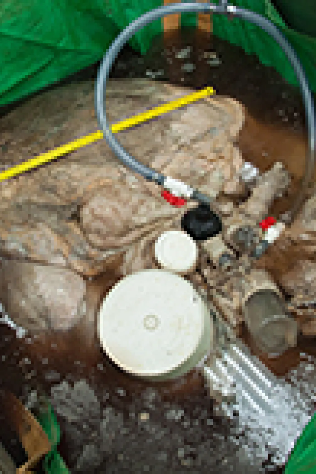 A worker pulls out a net next to the blue whale
