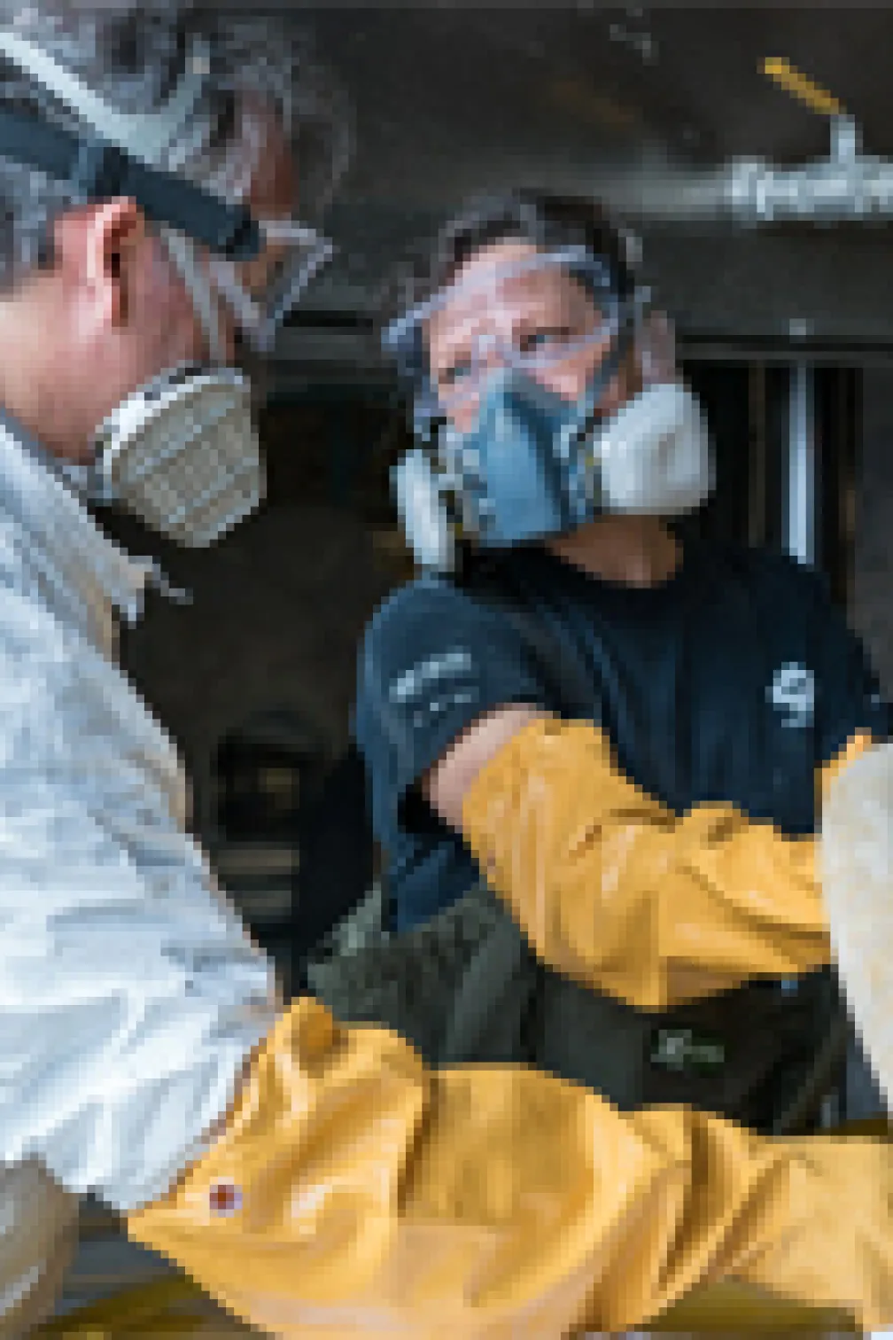 ROM research technicians work with two ROM Biodiversity volunteers to drain the last of the formalin from the heart tank.
