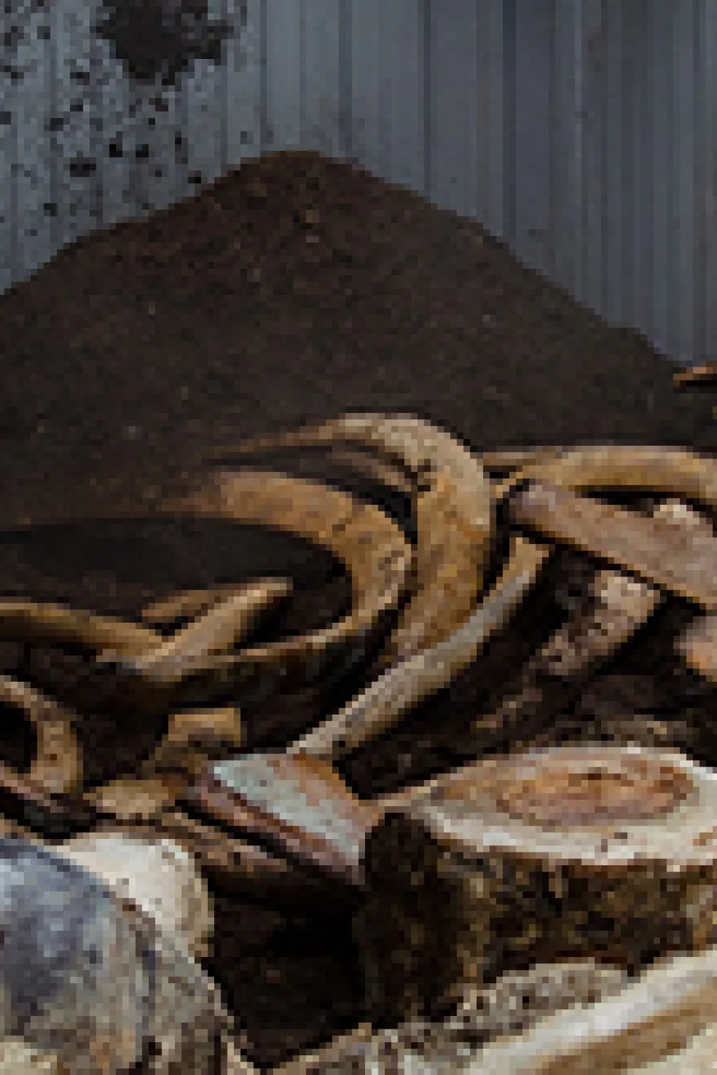 A worker pulls out a net next to the blue whale
