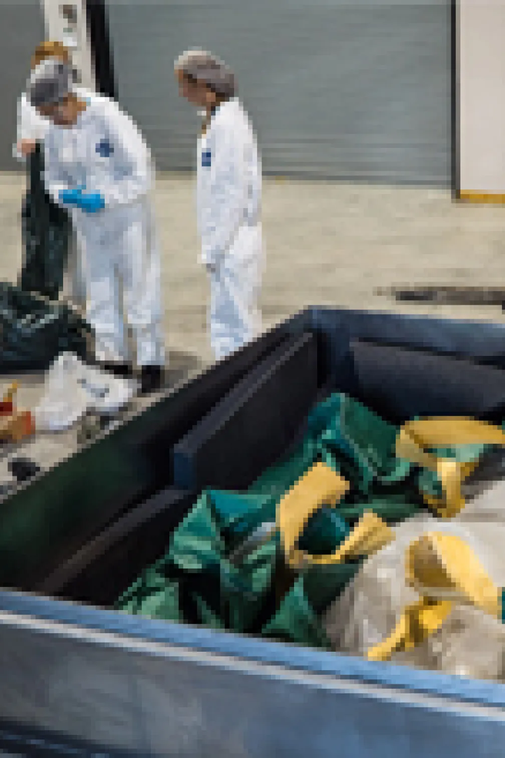 Blue whale heart packaged in a shipping container.
