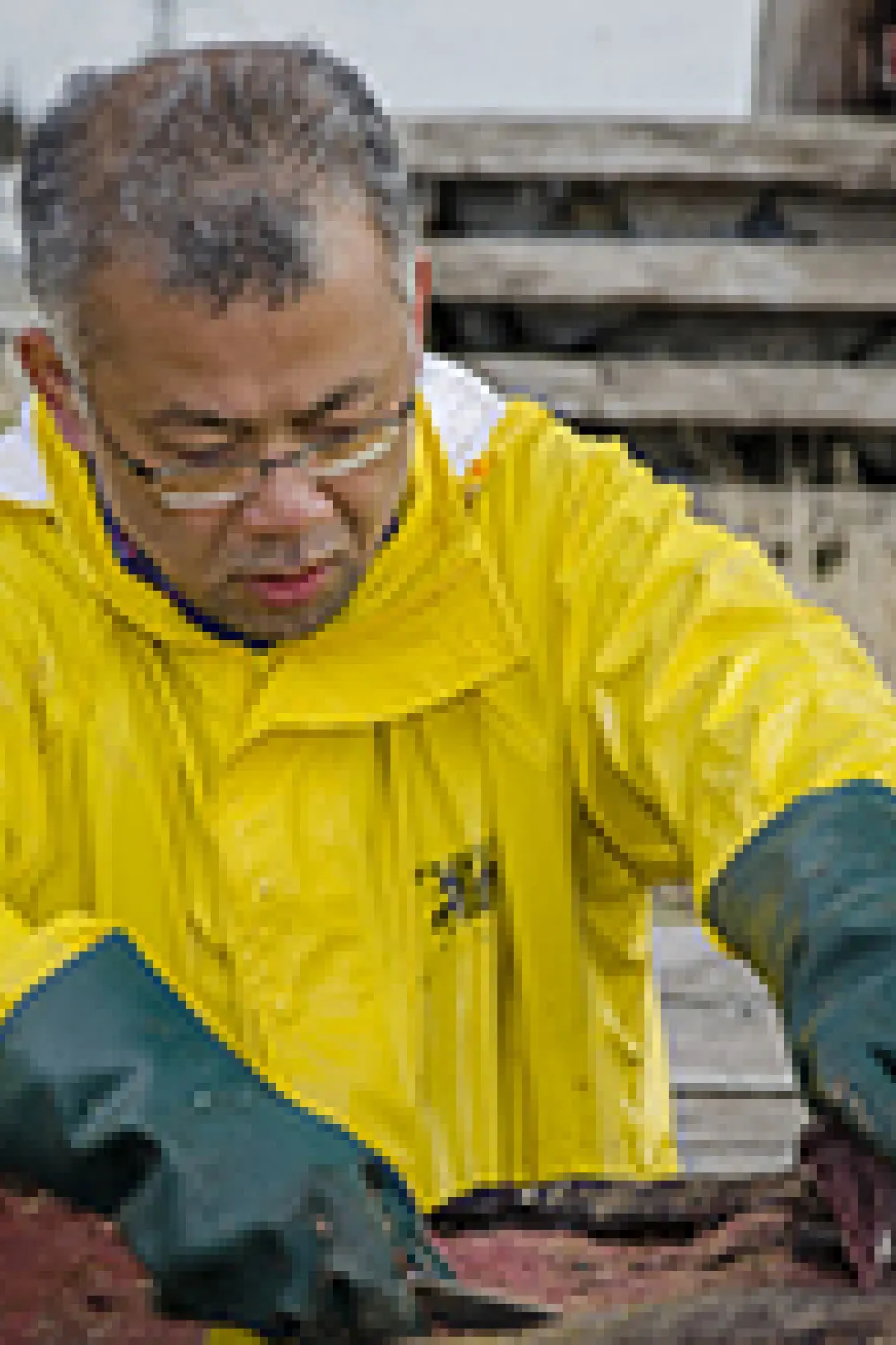 Boat pulling the blue whale carcass
