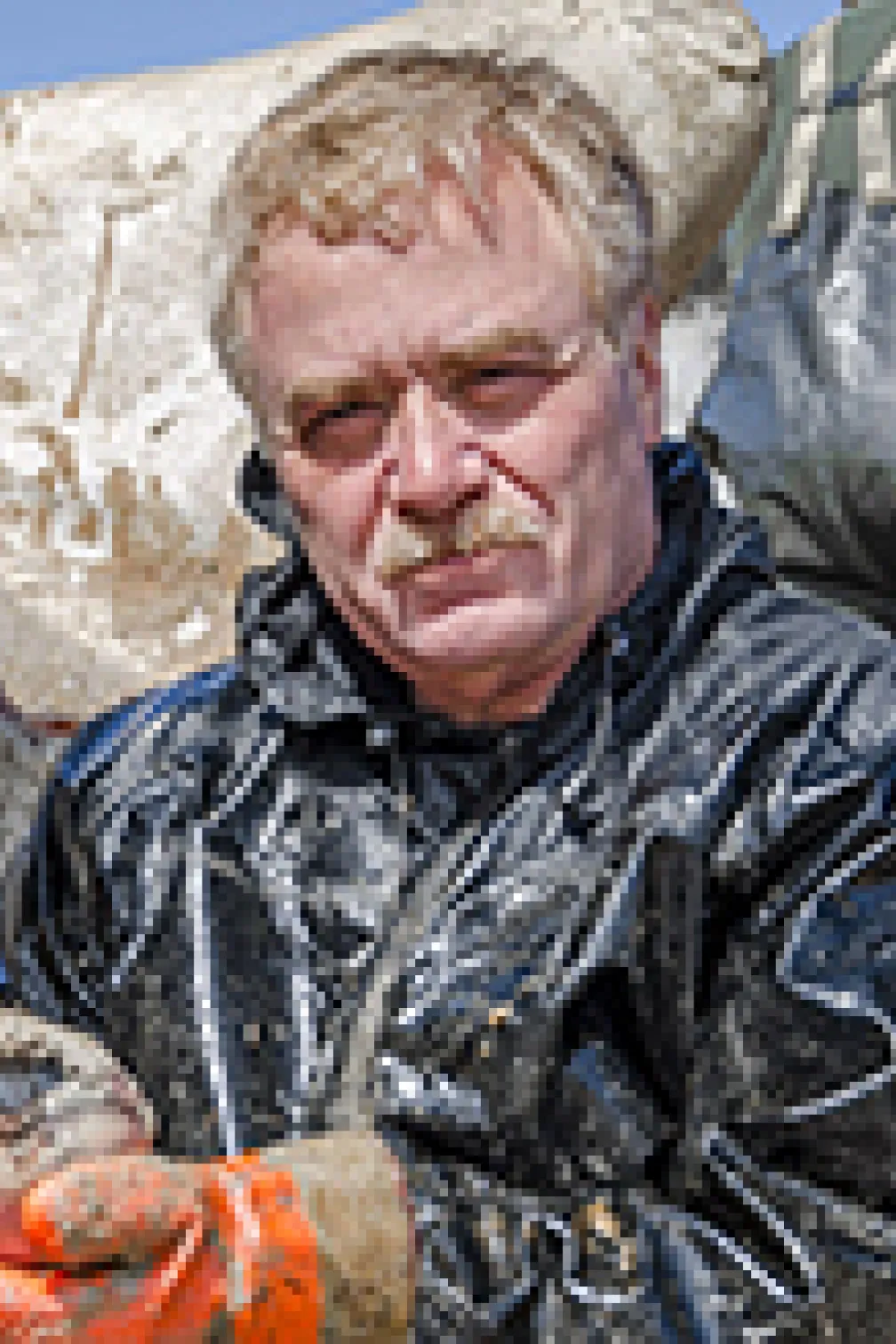 Workers carving dead whale flesh
