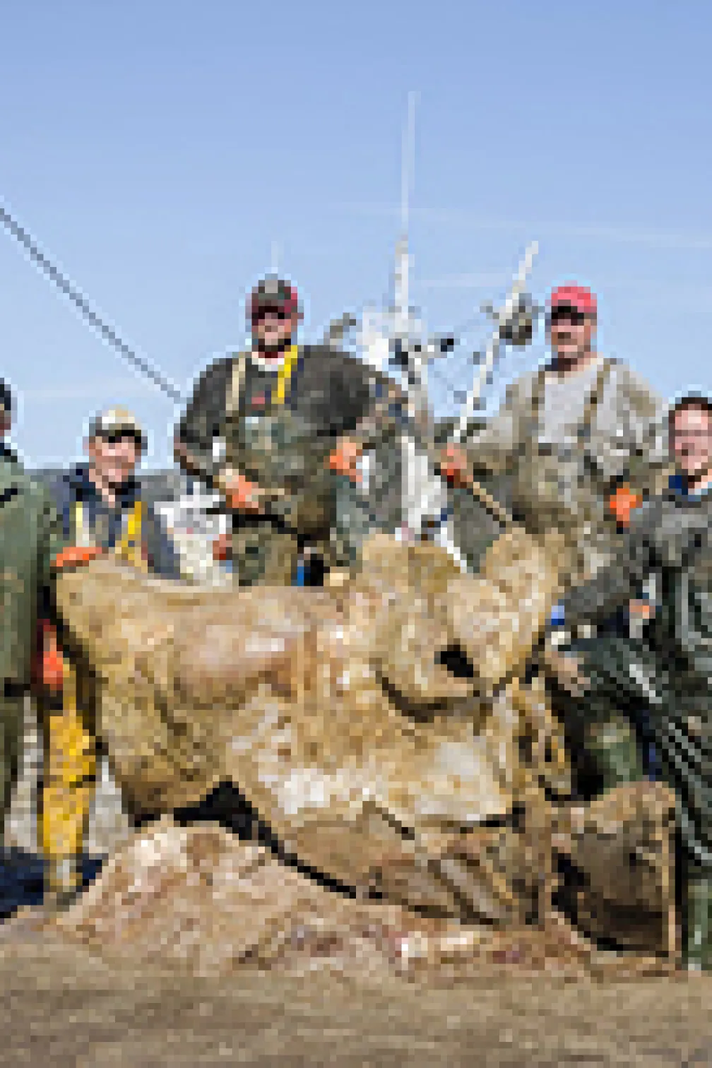 Workers and the whale
