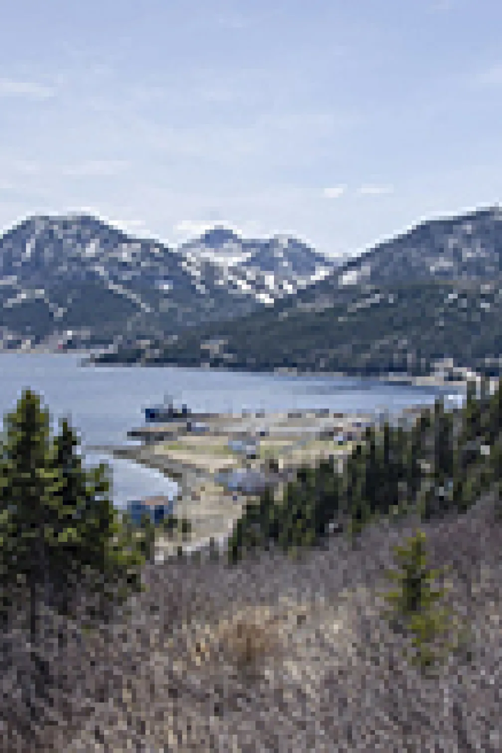 A row boat next to the blue whale
