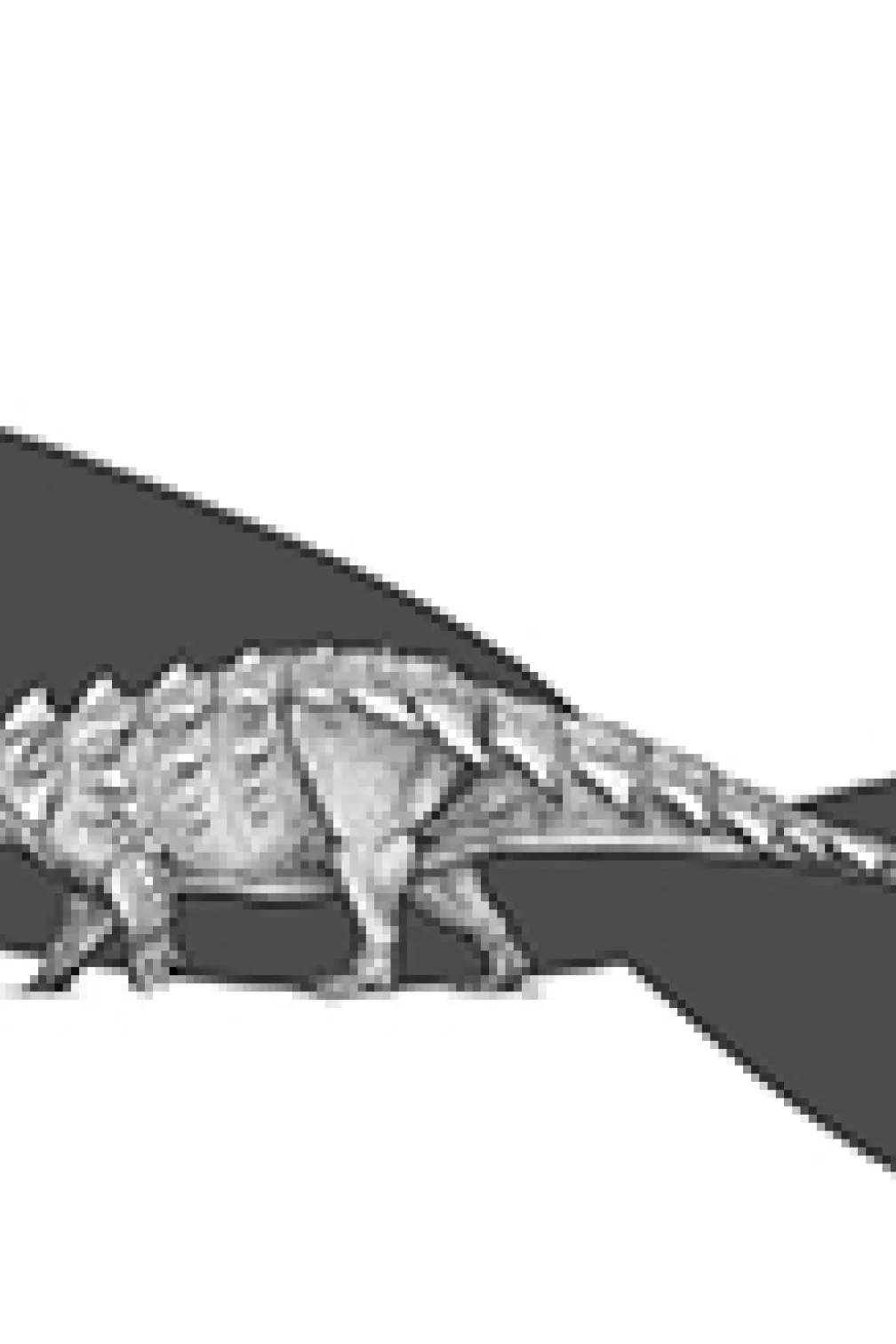 Illustration of Zuul next to a blue whale silhouette
