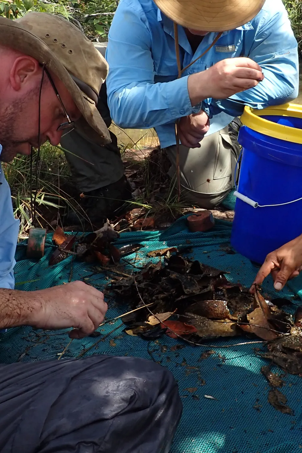People looking through contents of a fishing net.